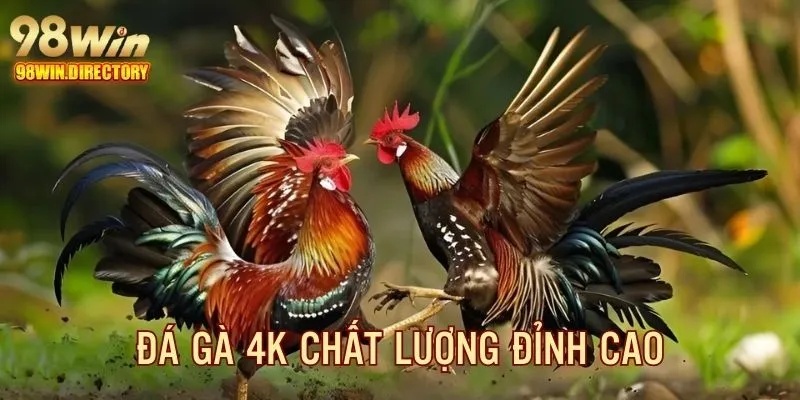 Đá gà 4K 98Win